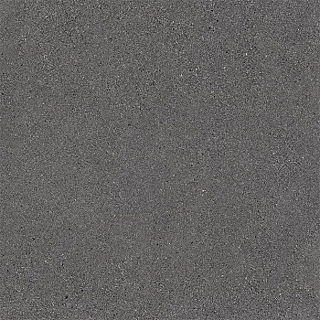 Ergon Grainstone Dark Fine Grain Naturale 60x60 / Эргон Граинстоне
 Дарк Фине Грайн
 Натуралье 60x60 